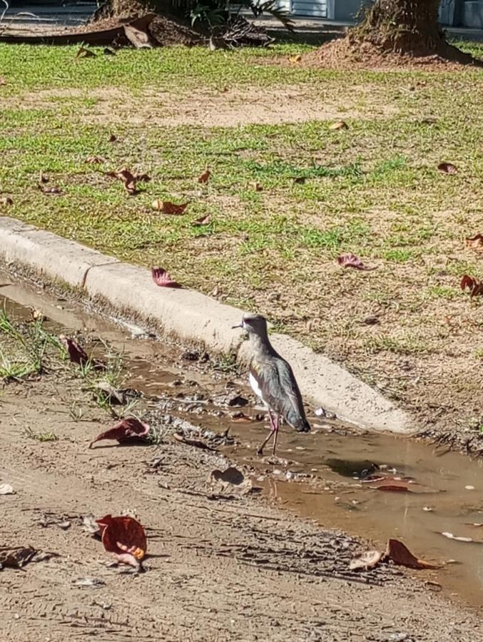 Pousada 5 Cachoeiras Ubatuba Exteriör bild