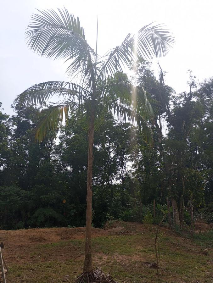 Pousada 5 Cachoeiras Ubatuba Exteriör bild