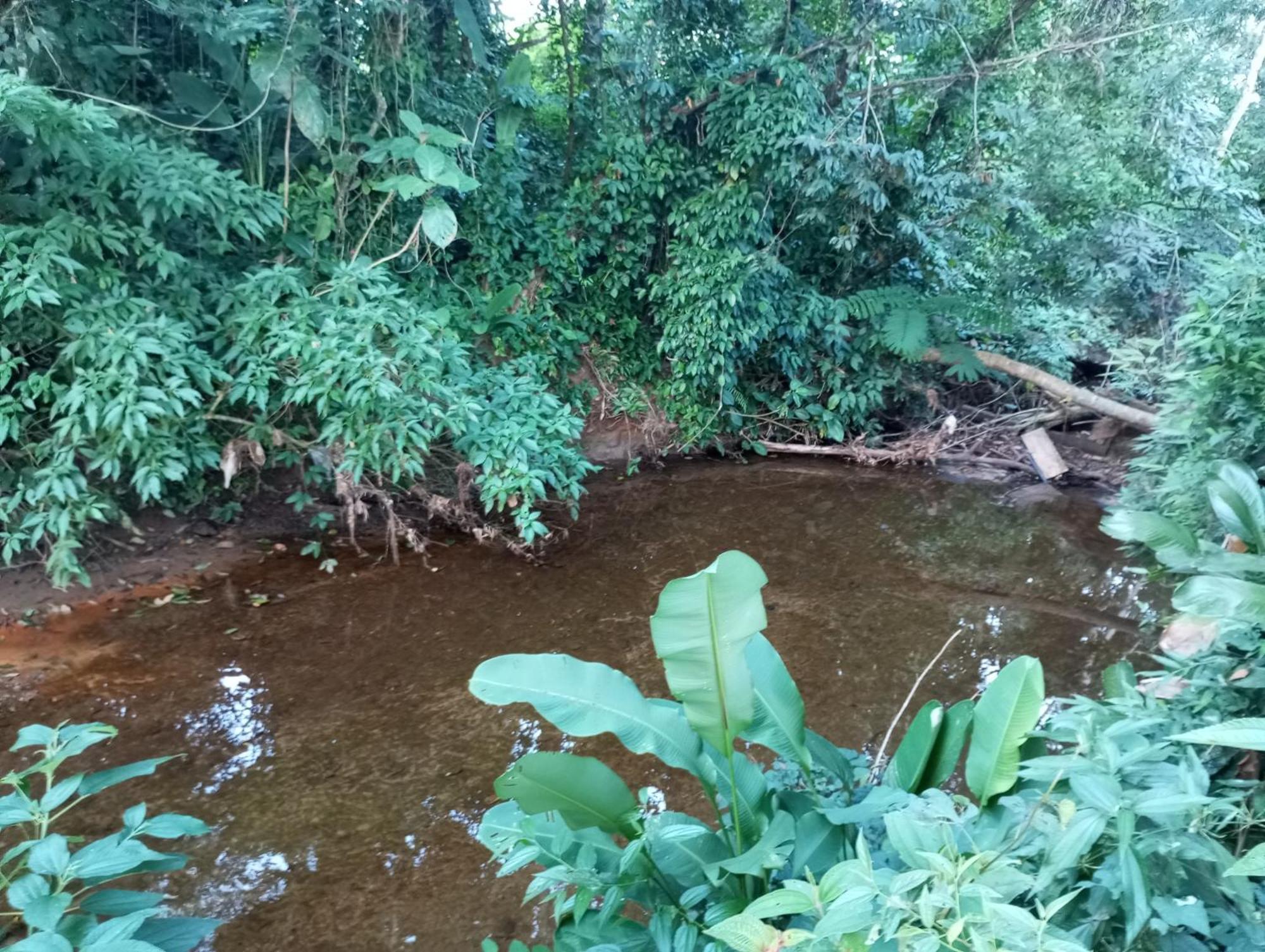 Pousada 5 Cachoeiras Ubatuba Exteriör bild